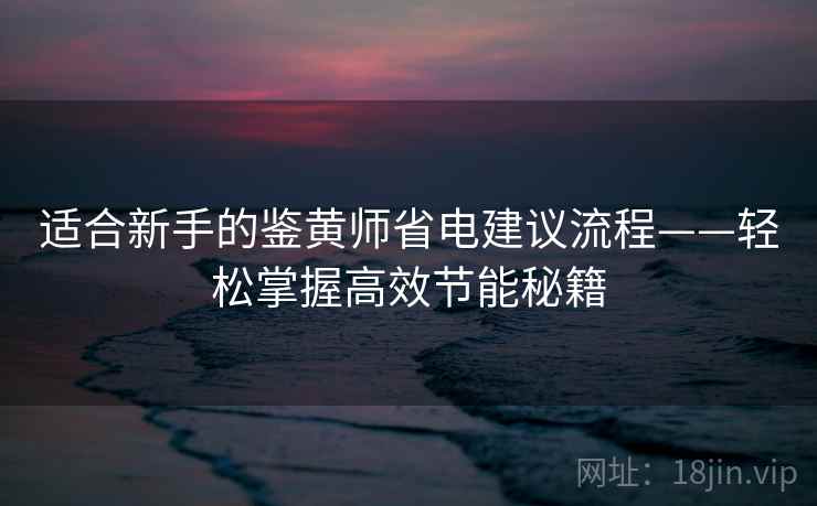 适合新手的鉴黄师省电建议流程——轻松掌握高效节能秘籍