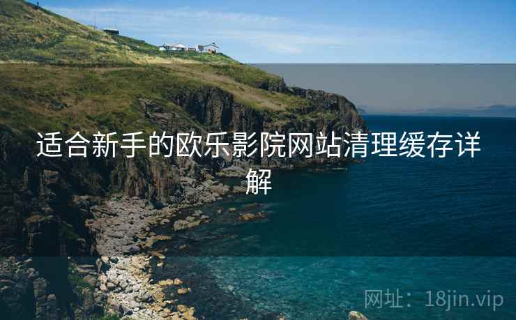 适合新手的欧乐影院网站清理缓存详解