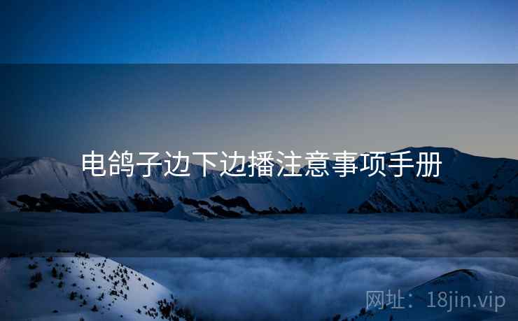 电鸽子边下边播注意事项手册