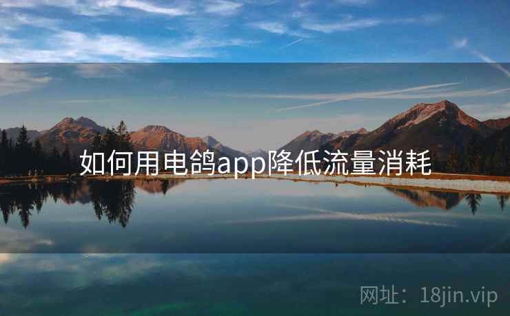 如何用电鸽app降低流量消耗