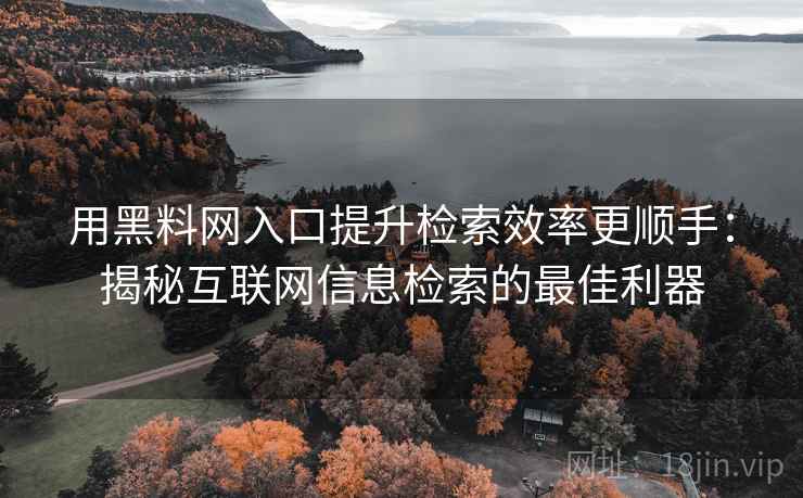 用黑料网入口提升检索效率更顺手:揭秘互联网信息检索的最佳利器 用黑料网入口提升检索效率更顺手:揭秘互联网信息检索的最佳利器