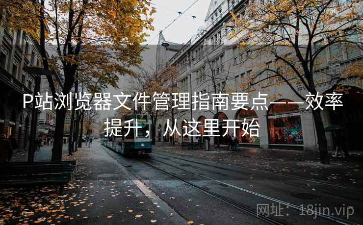 P站浏览器文件管理指南要点——效率提升,从这里开始 P站浏览器文件管理指南要点——效率提升,从这里开始