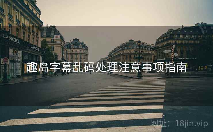 趣岛字幕乱码处理注意事项指南