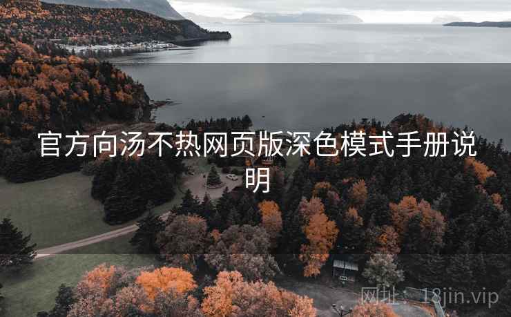 官方向汤不热网页版深色模式手册说明