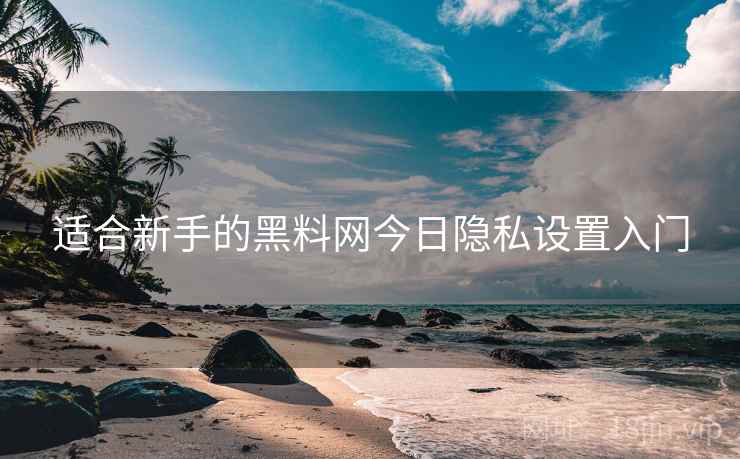 适合新手的黑料网今日隐私设置入门
