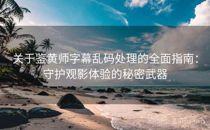 关于鉴黄师字幕乱码处理的全面指南：守护观影体验的秘密武器
