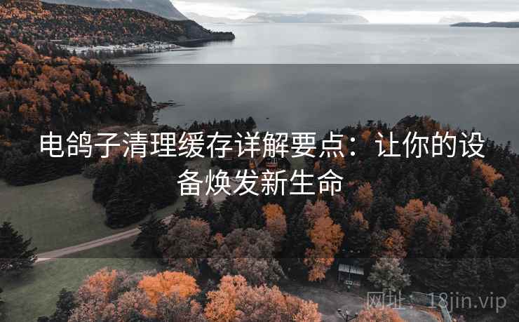 电鸽子清理缓存详解要点：让你的设备焕发新生命