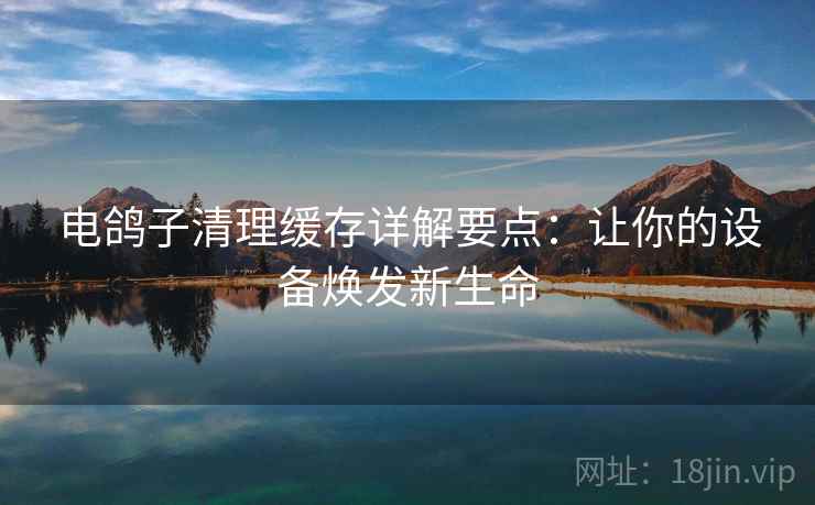 电鸽子清理缓存详解要点：让你的设备焕发新生命