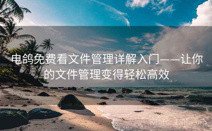 电鸽免费看文件管理详解入门——让你的文件管理变得轻松高效