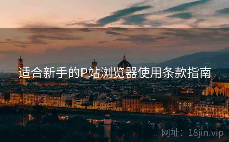 适合新手的P站浏览器使用条款指南