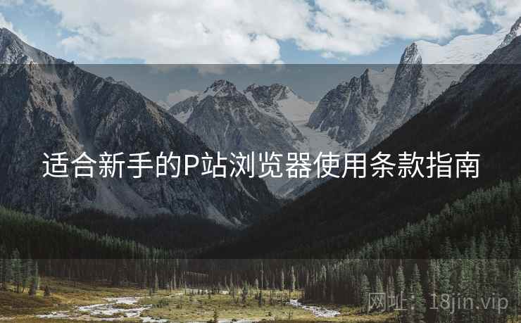 适合新手的P站浏览器使用条款指南