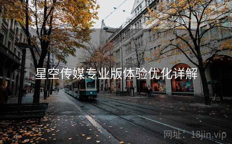 星空传媒专业版体验优化详解