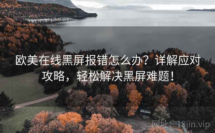 欧美在线黑屏报错怎么办？详解应对攻略，轻松解决黑屏难题！